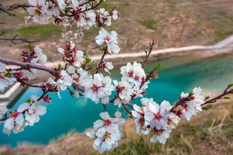 عکس جاذبه های طبیعت گردی اصفهان در بهار