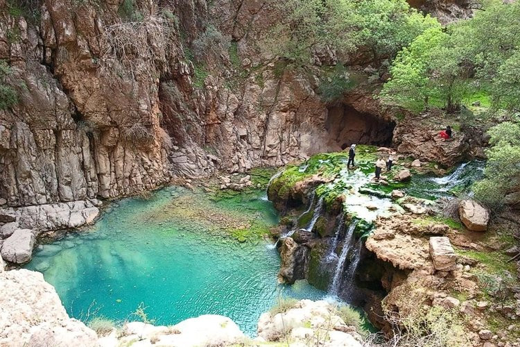 عکس تنگ دم اسب