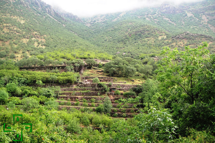 عکس روستای داریان کرمانشاه