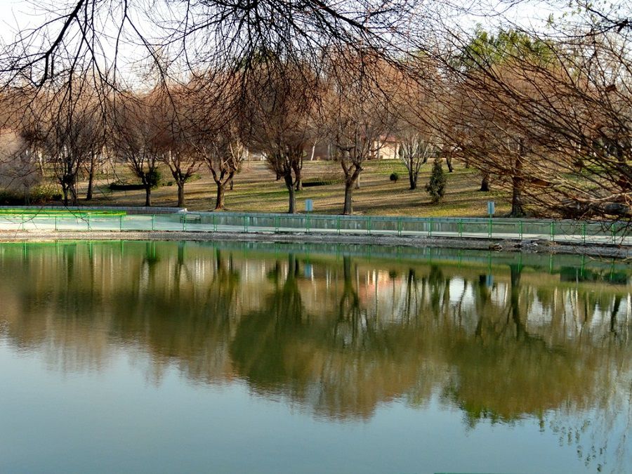 عکس بوستان بعثت 1