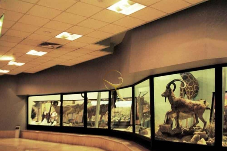 عکس موزه حیات وحش پردیسان