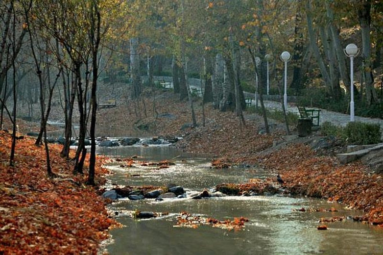 عکس پارک وکیل آباد