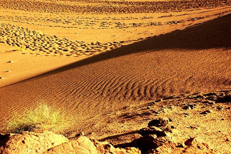 عکس گوم تپه تبریز